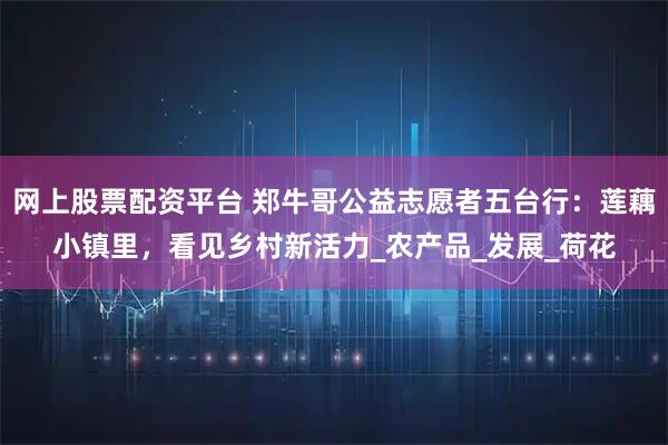 网上股票配资平台 郑牛哥公益志愿者五台行：莲藕小镇里，看见乡村新活力_农产品_发展_荷花