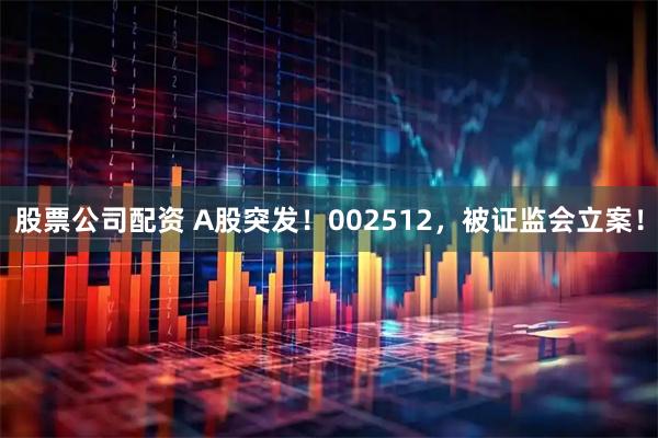 股票公司配资 A股突发！002512，被证监会立案！